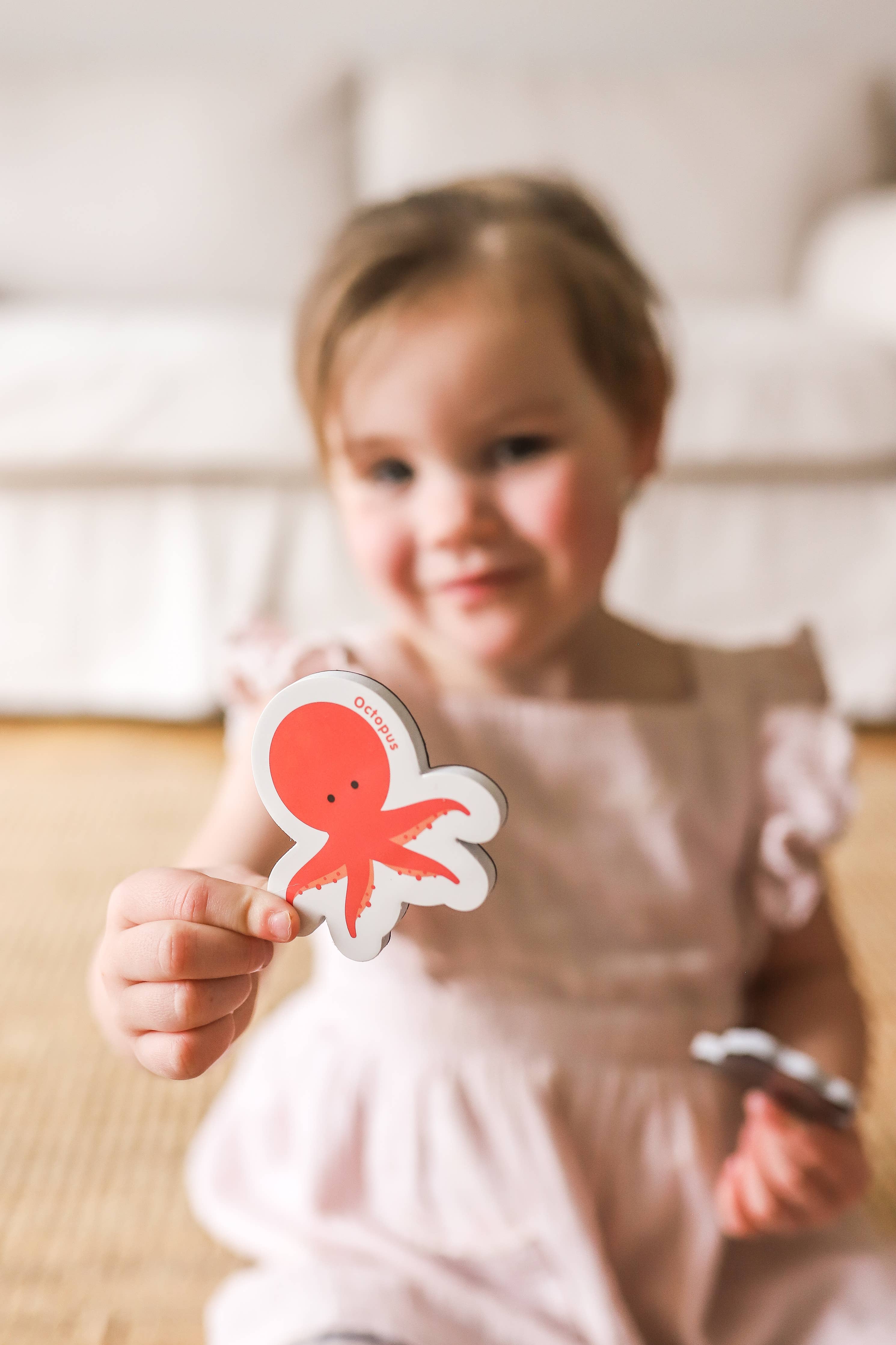 Curious Columbus - Magnetic Animals & Letters