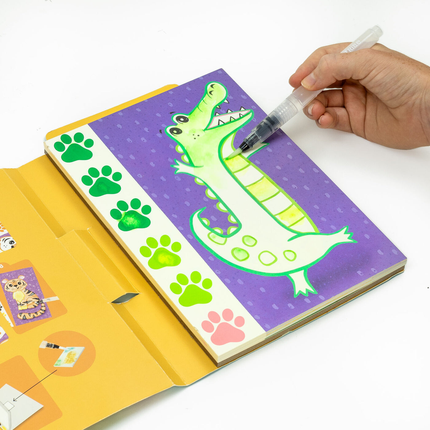 Tiger Tribe - Paint a Picture Wild Animals