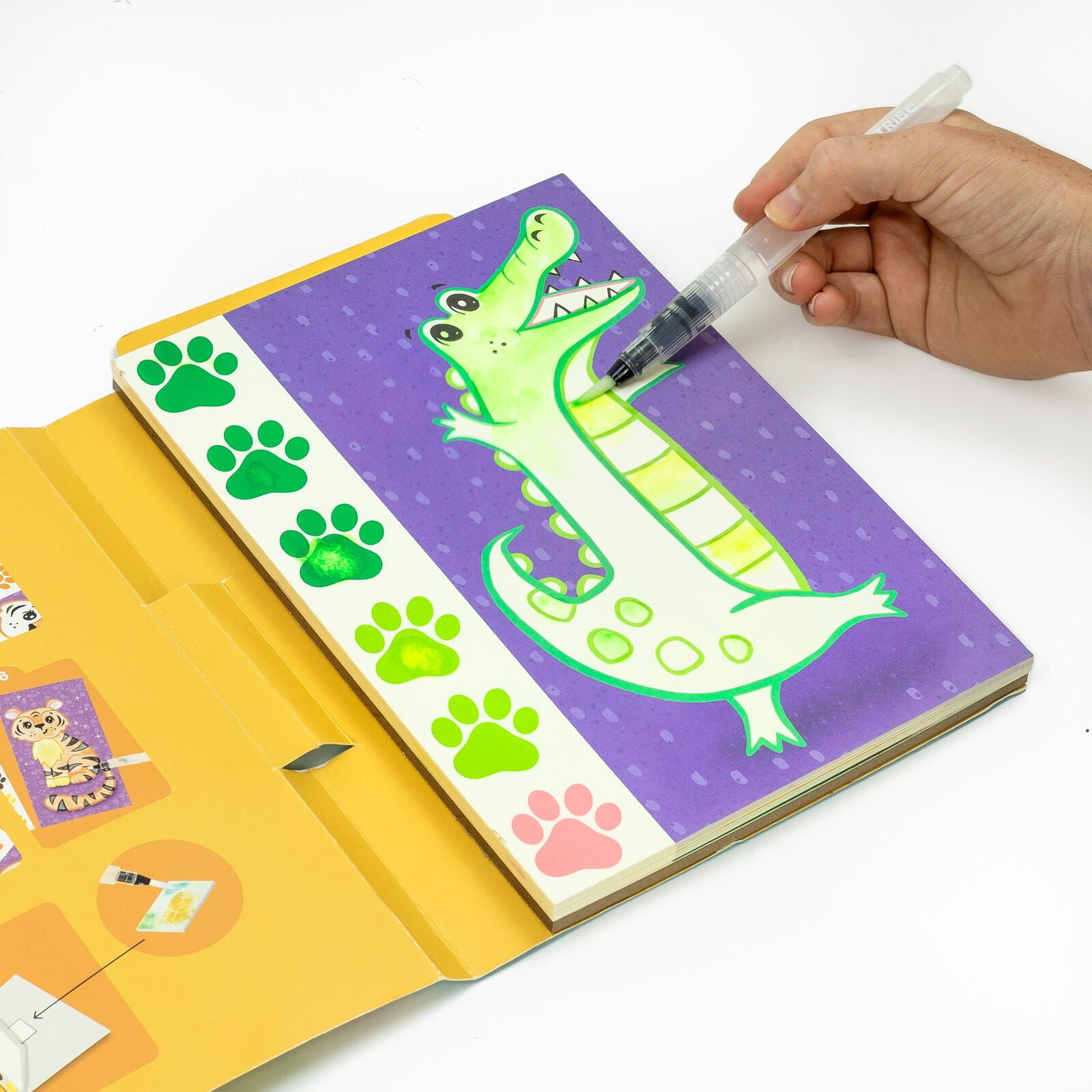 Tiger Tribe - Paint a Picture Wild Animals