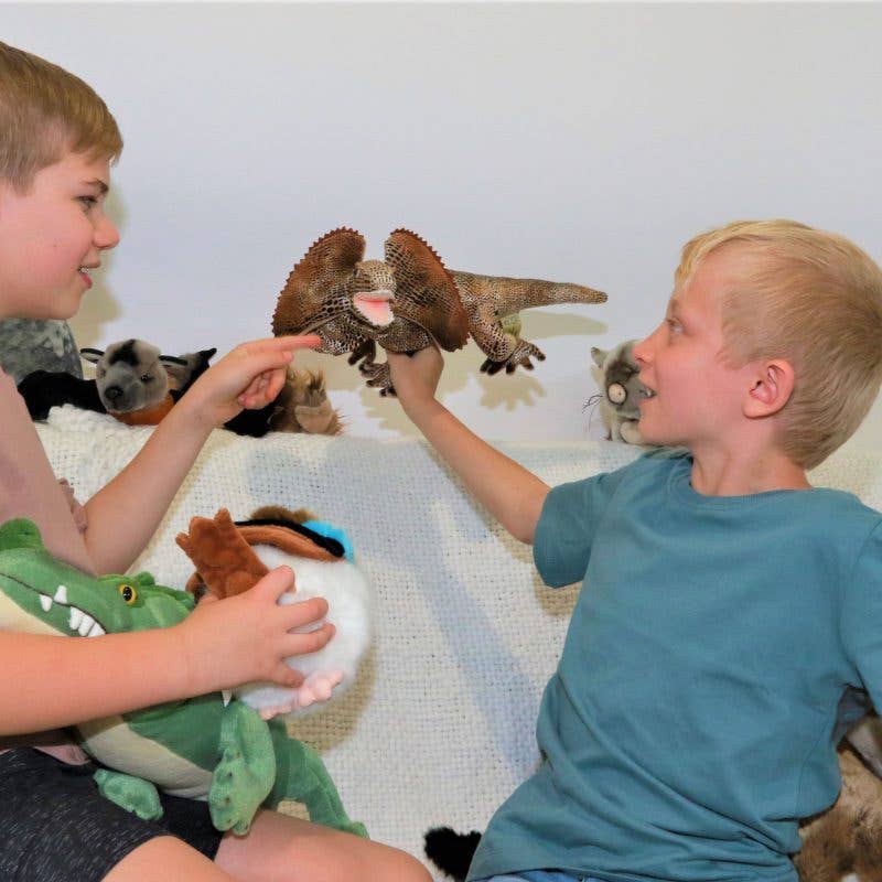 Bocchetta - Philly - Frilled Neck Lizard - Size 39cm