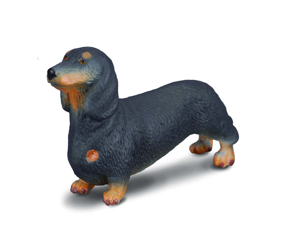 Collecta - 88185 Dachshund