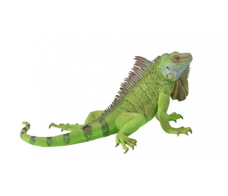 Collecta - 88965 Iguana