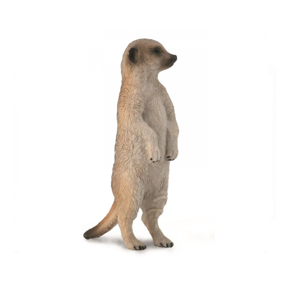 Collecta - 88913 Meerkat