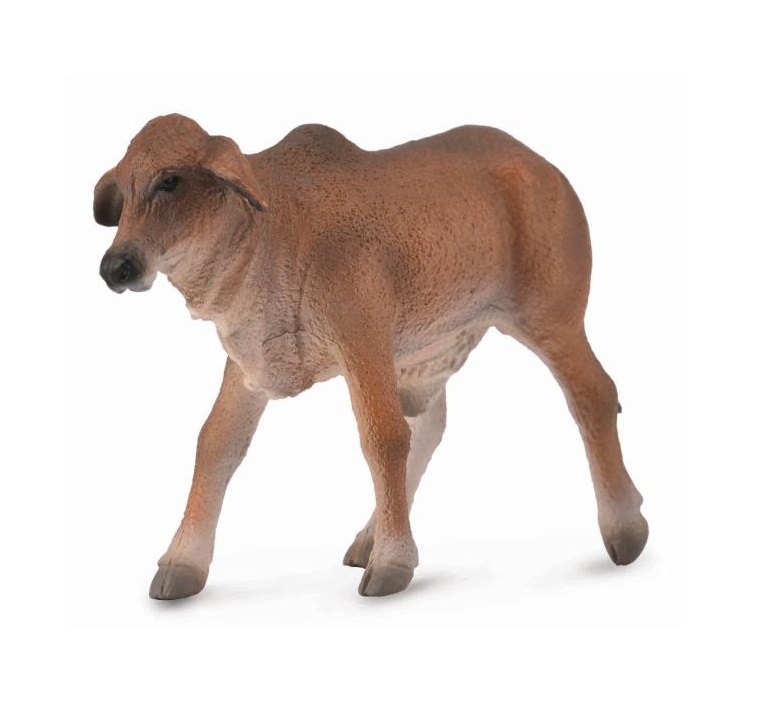 Collecta - 88601 Brahman Calf Red