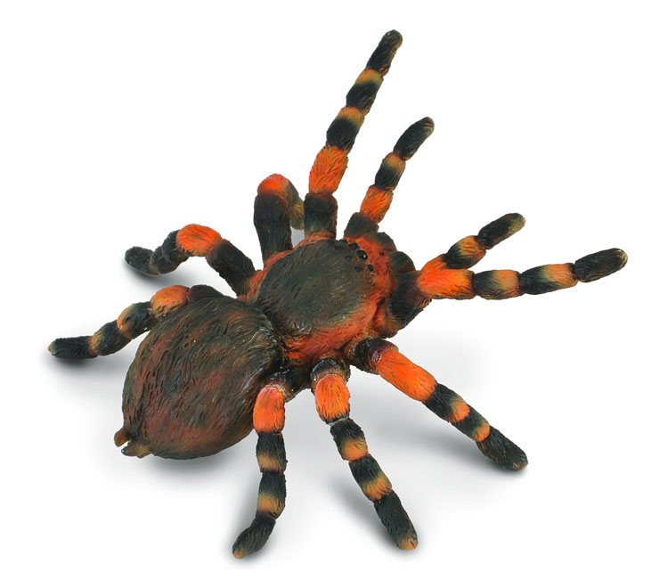 Collecta - 88338 Red Knee Tarantula
