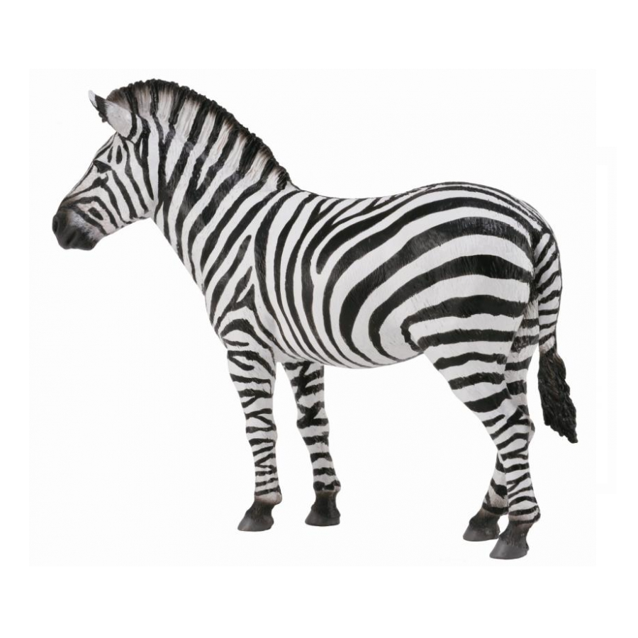Collecta - 88830 Common Zebra