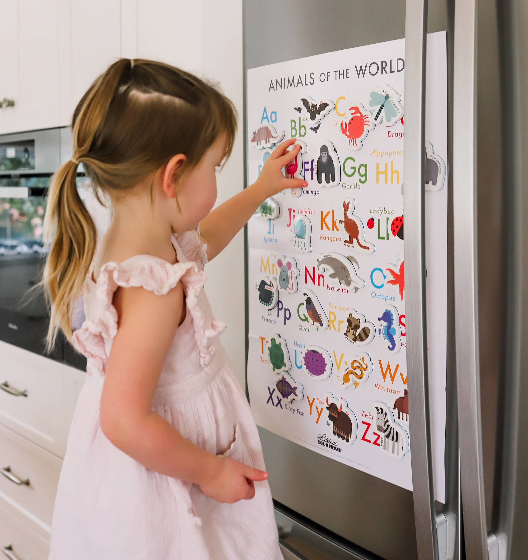 Curious Columbus - Magnetic Animals & Letters