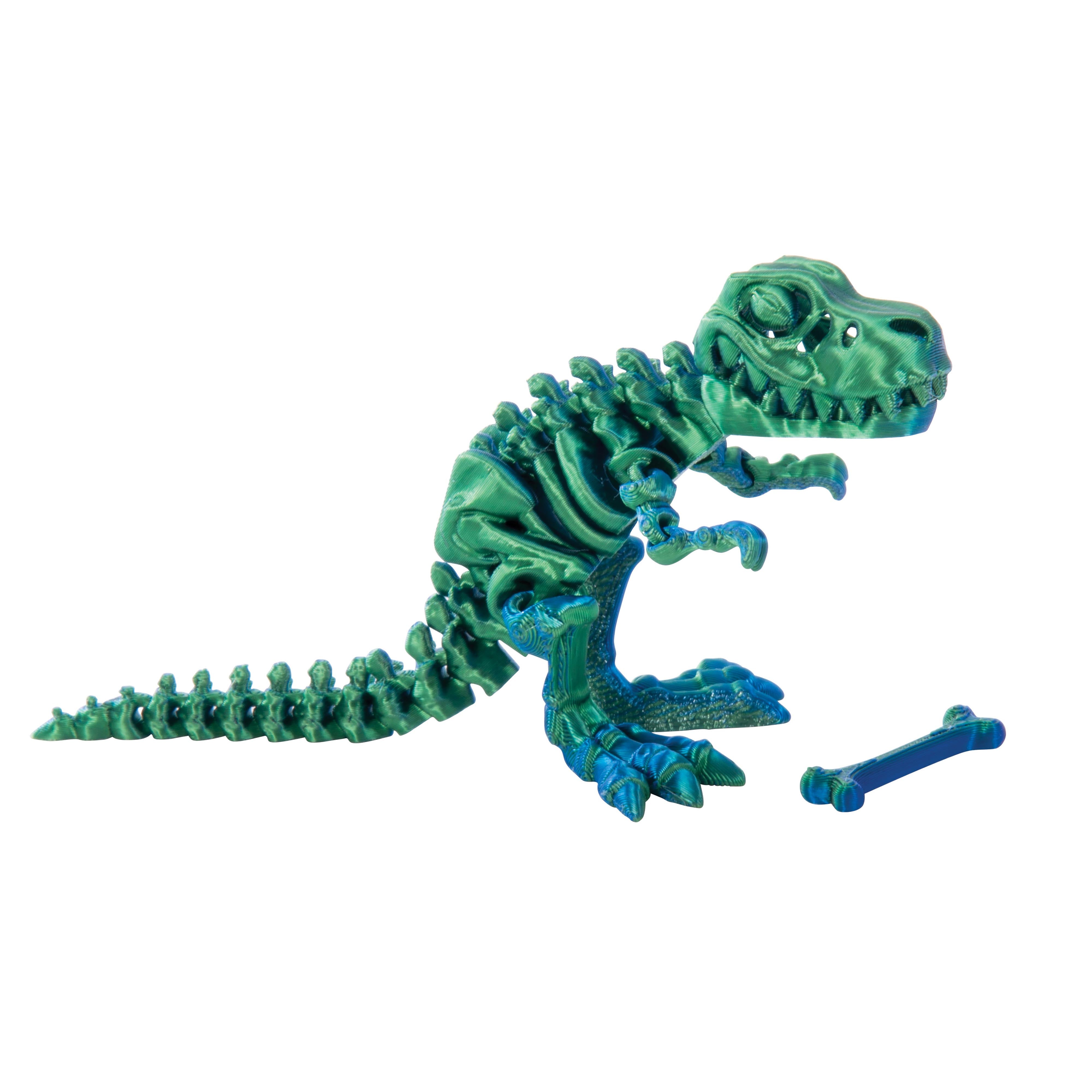 Discovery Zone - 3D Sensory Play T-Rex