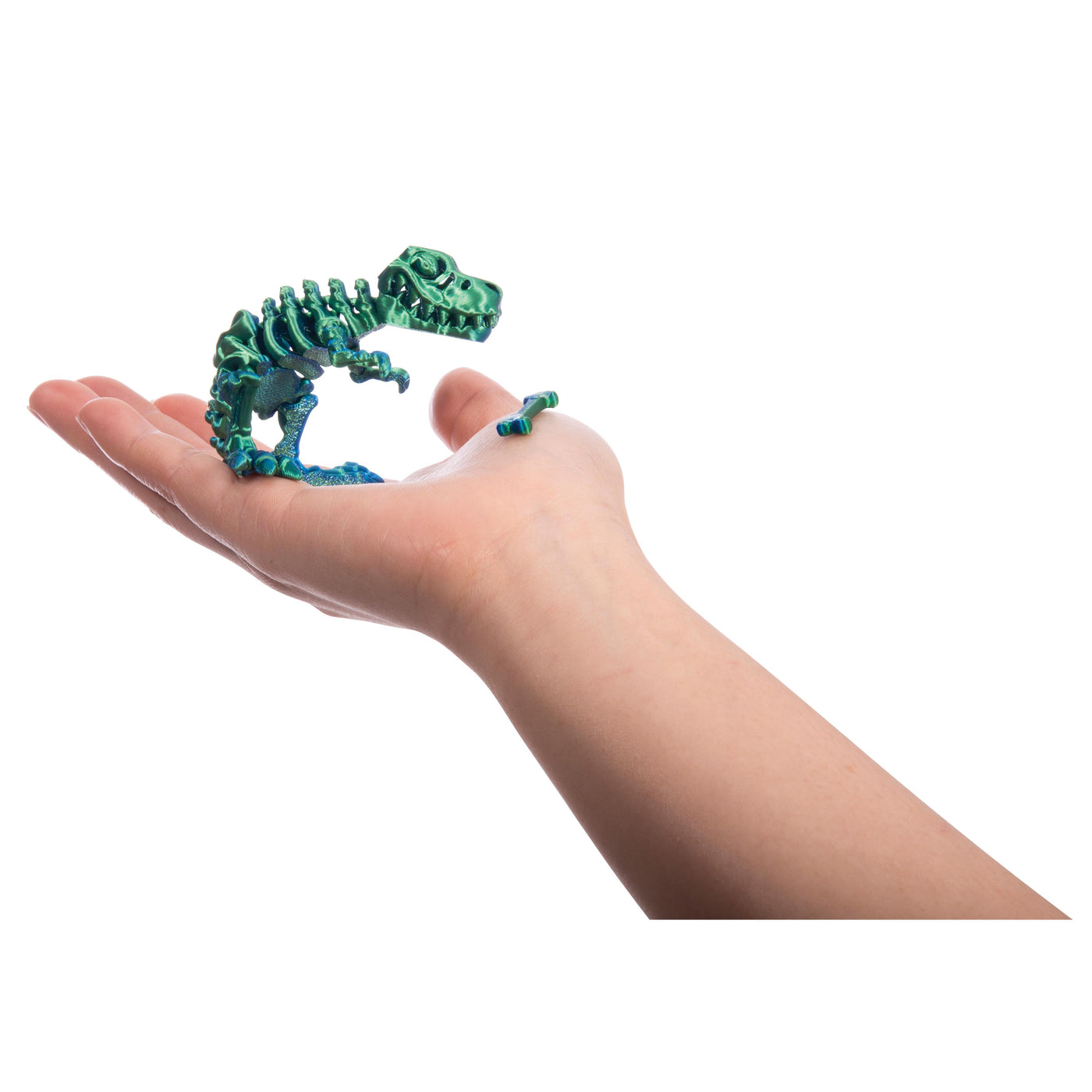 Discovery Zone - 3D Sensory Play T-Rex