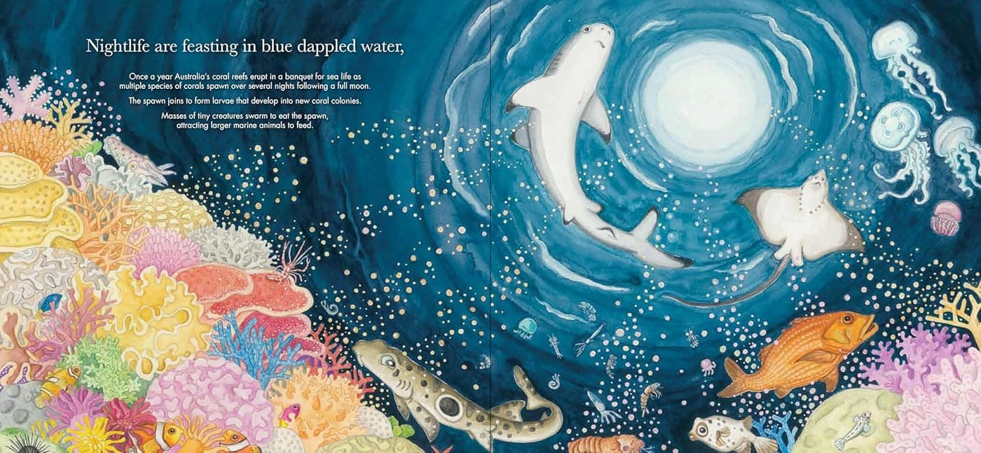 Nightlife - Sandra Kendell