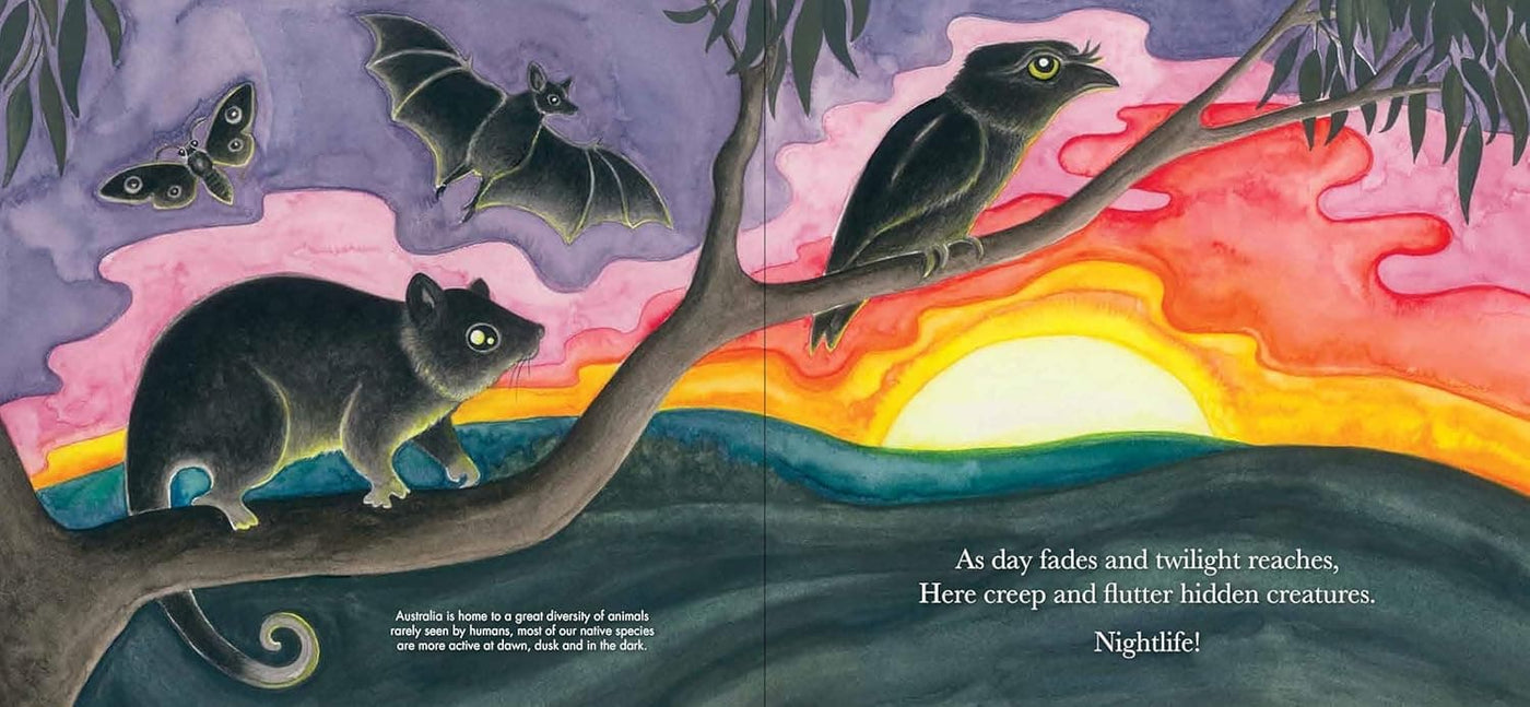 Nightlife - Sandra Kendell