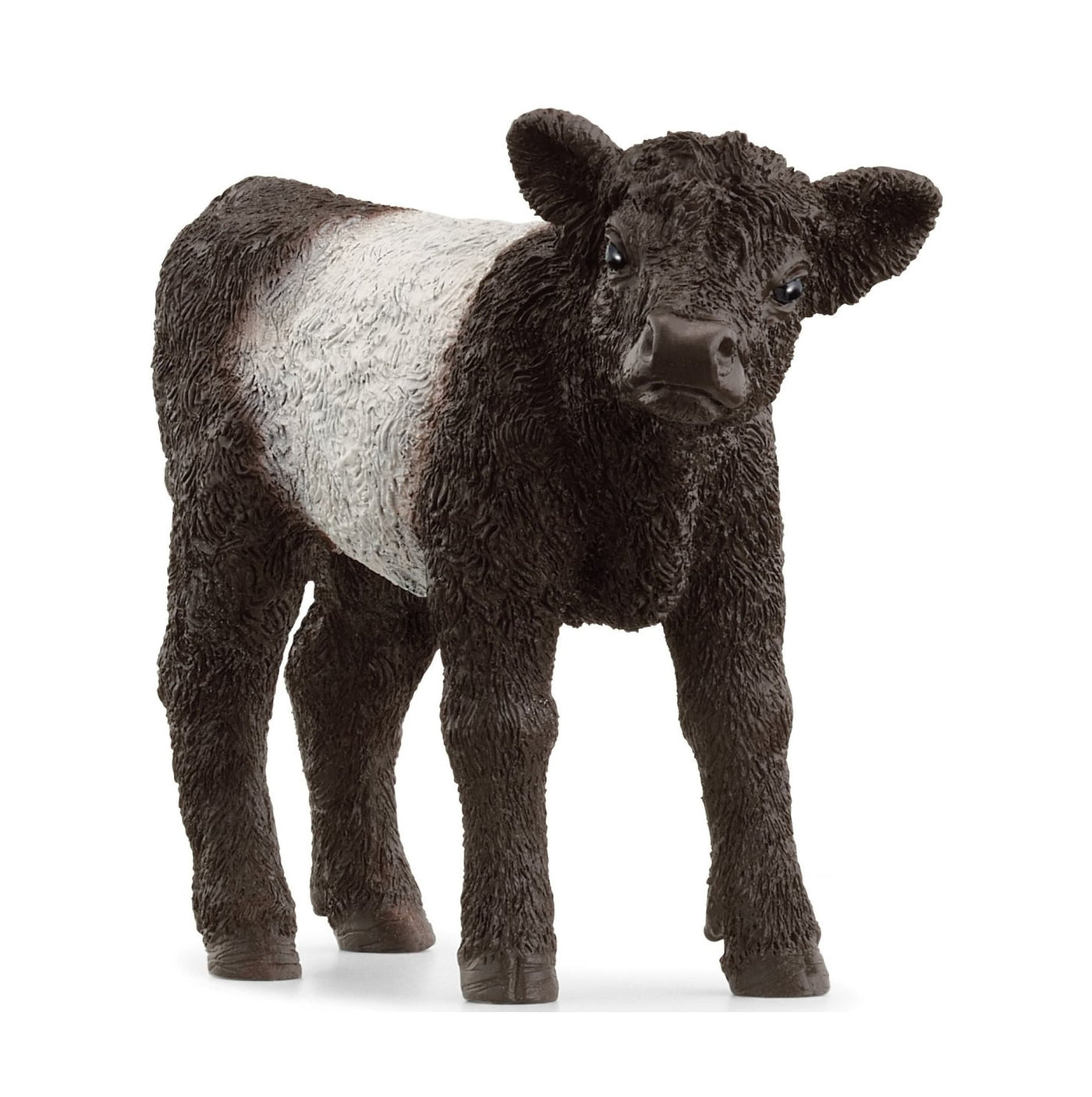 Schleich - 13969 Galloway Calf
