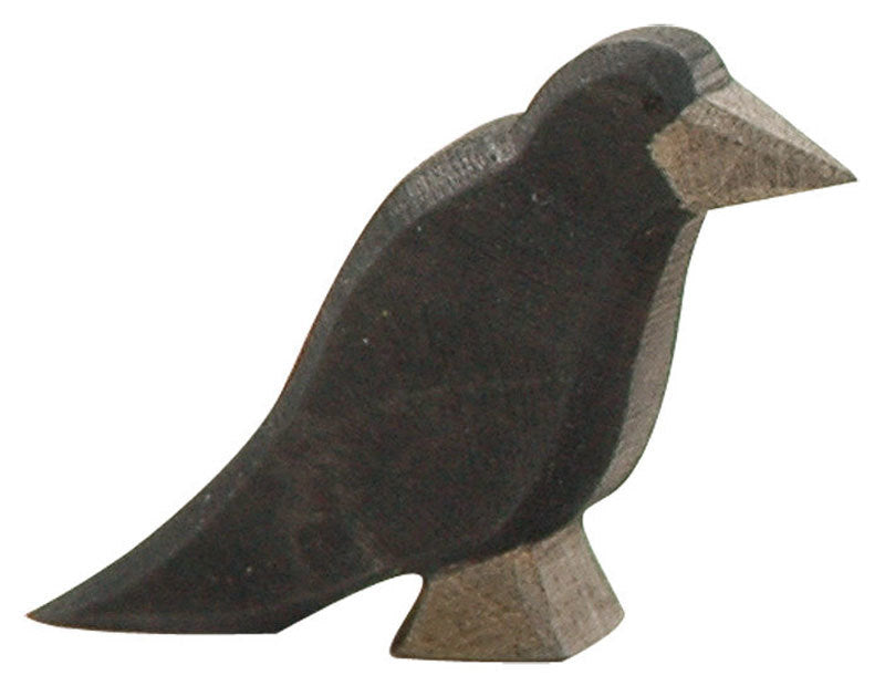 Ostheimer parrot best sale