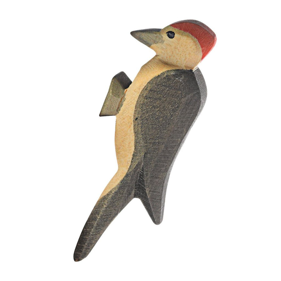 Ostheimer - Woodpecker Bird