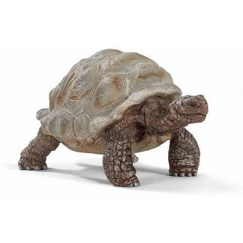 Schleich 14824 - Giant Tortoise
