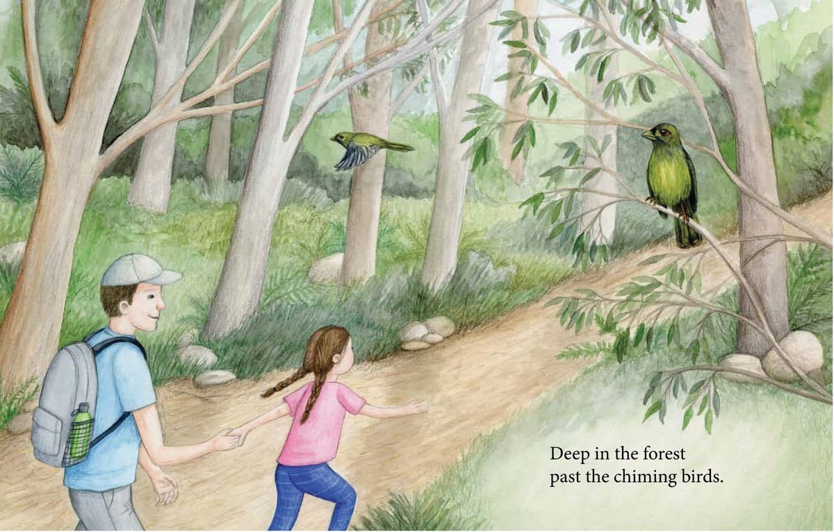 Where The Lyrebird Lives book