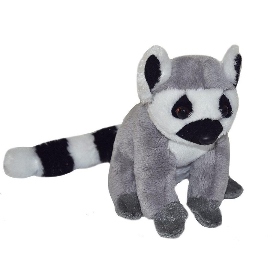 Wild top republic lemur