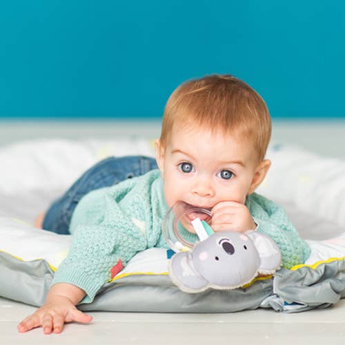 Taf Toys - Kimmy Koala Rattle