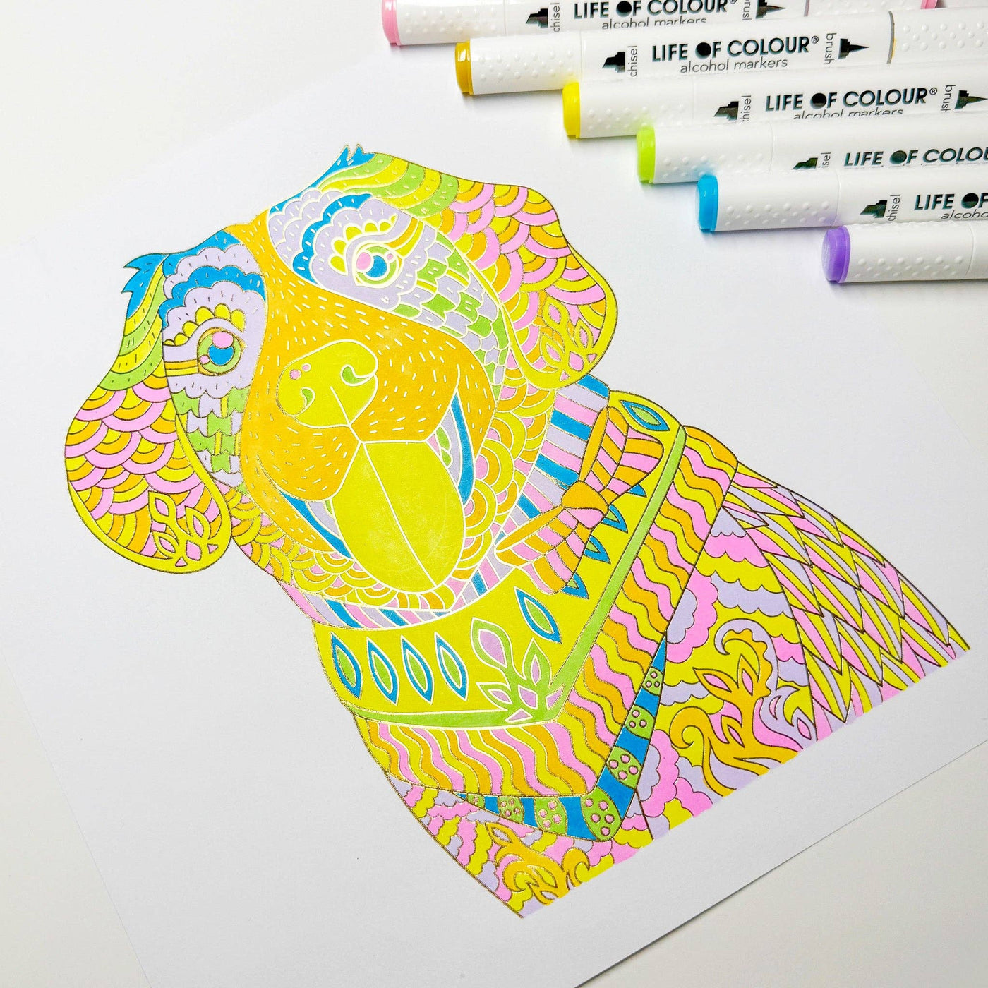 Life of Colour - Art Markers - 24 Alcohol Based, Dual Tip Markers