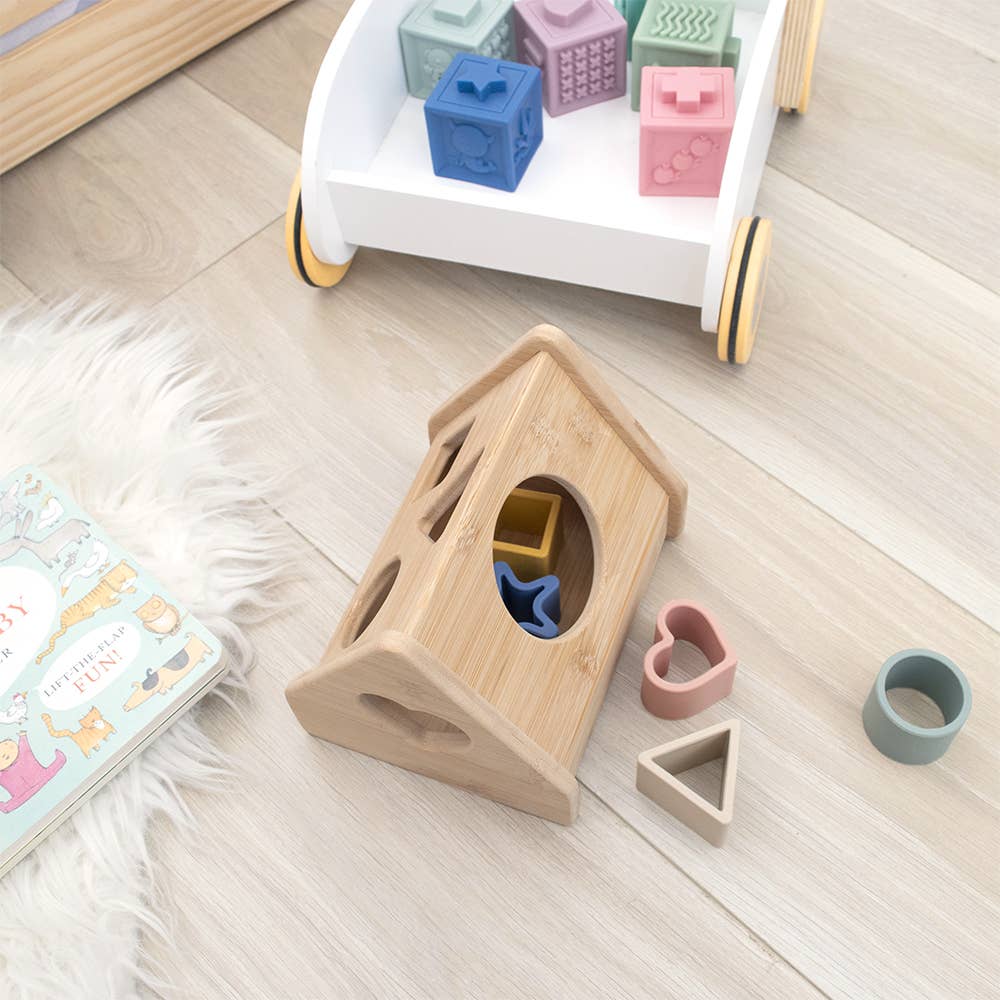 Playground - House Shape Sorter