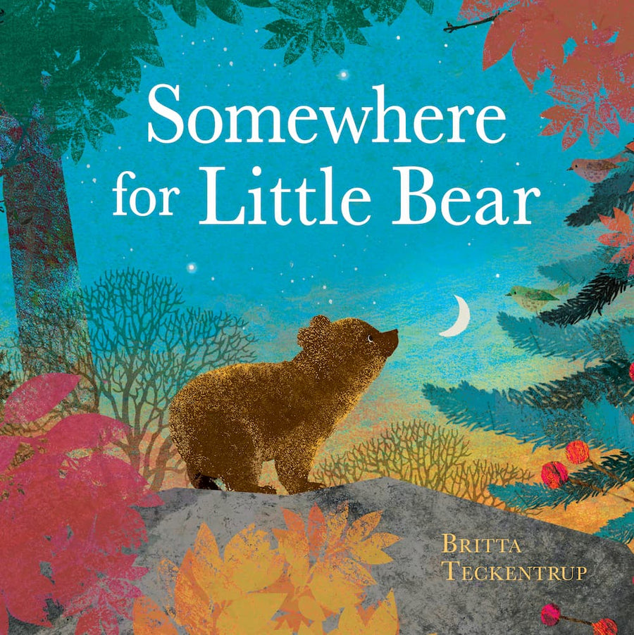 Somewhere for Little Bear - Britta Teckentrup