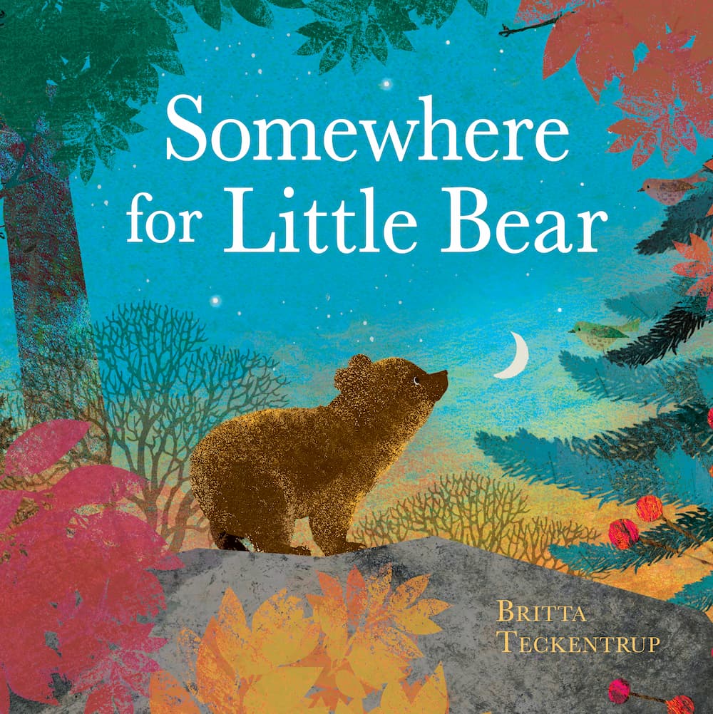 Somewhere for Little Bear - Britta Teckentrup
