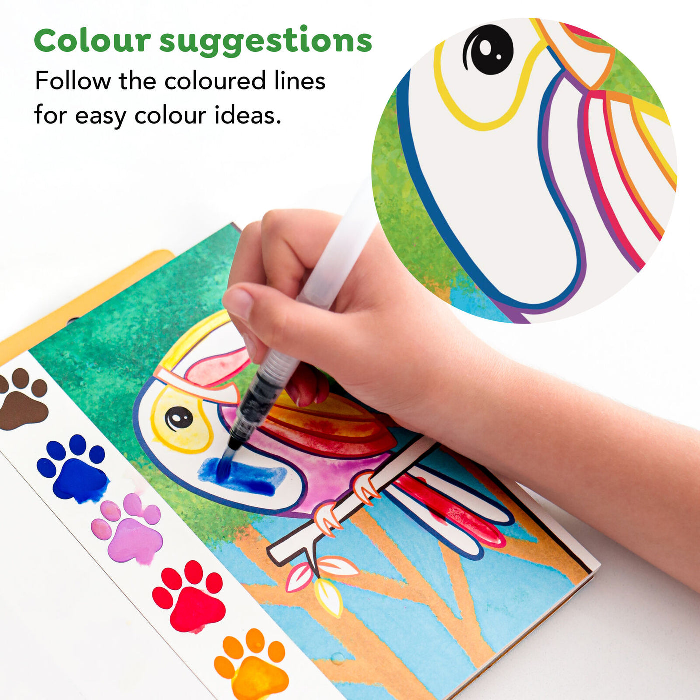 Tiger Tribe - Paint a Picture Wild Animals