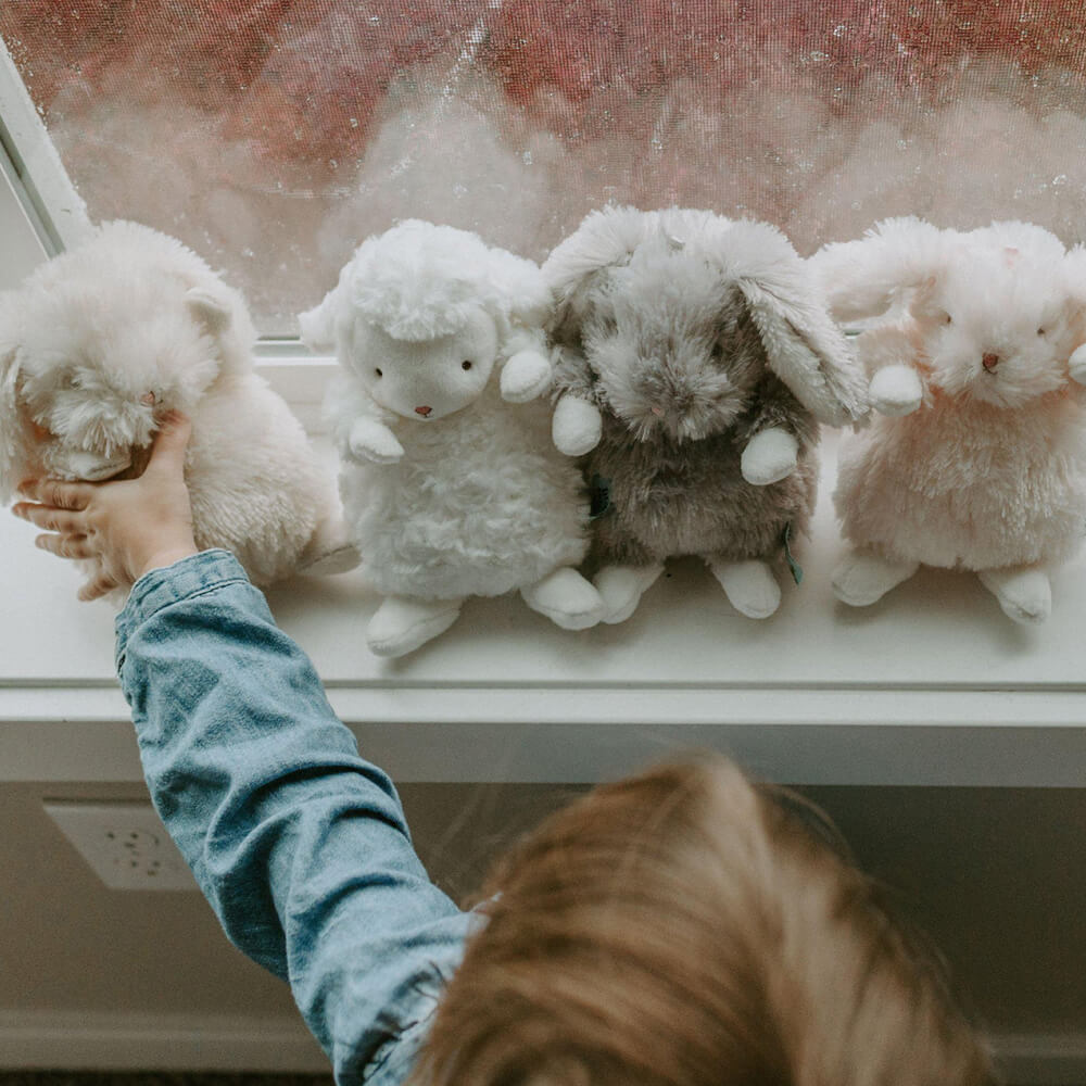 Bunnies by the Bay - Wee Kiddo the Lamb