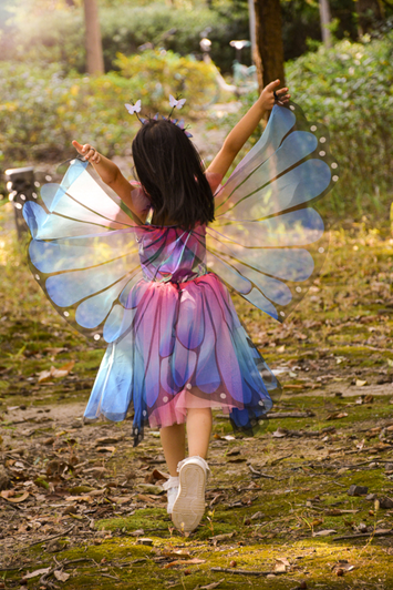 Great Pretenders - Twirl Dress & Wings Size 5-6