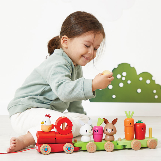 Janod - Farmyard Train