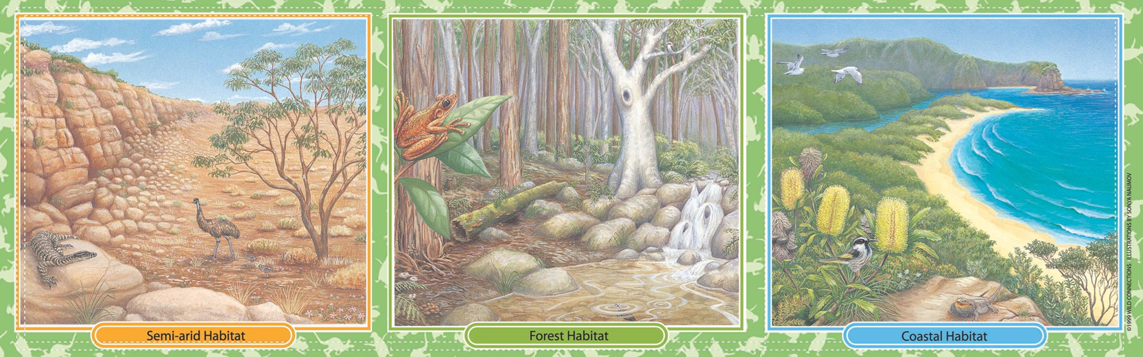 Australian Menagerie Game