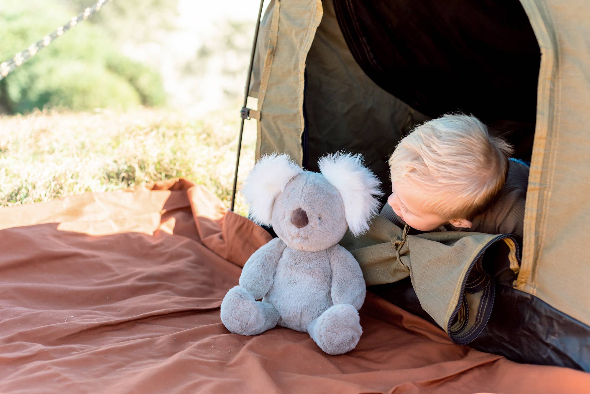 OB Australia - Kobi Koala Soft Toy 38cm