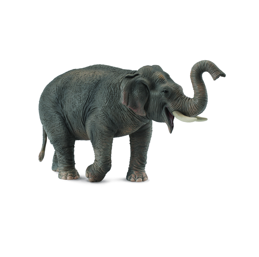 Collecta - 88486 Asian Elephant