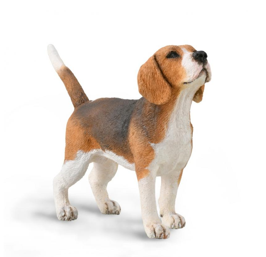 Collecta - 88935 Beagle