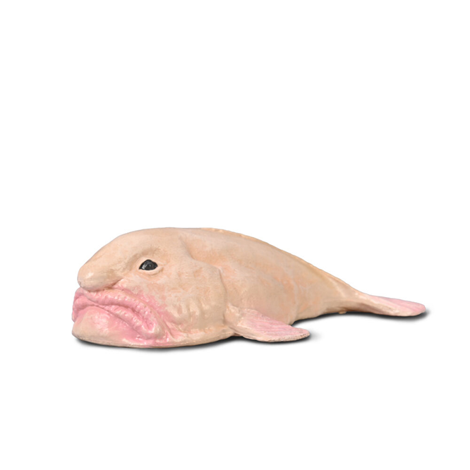 Collecta - 80037 Blobfish