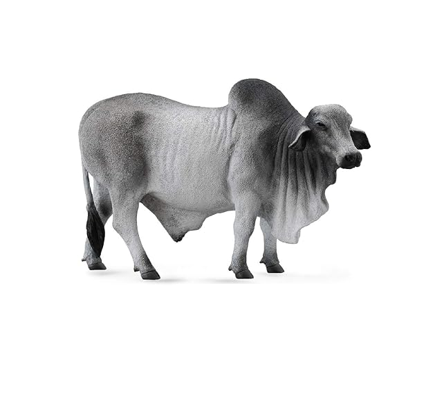 Collecta - 88579 Brahman Bull Grey