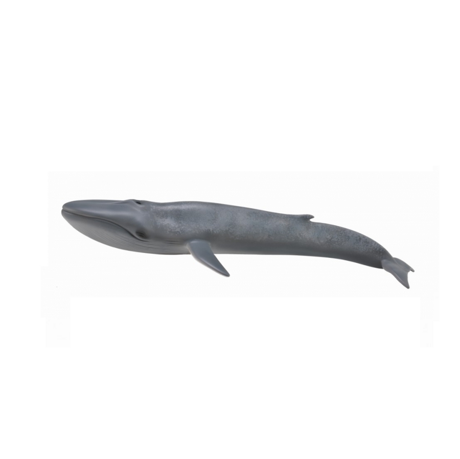 Collecta - 88834 Blue Whale