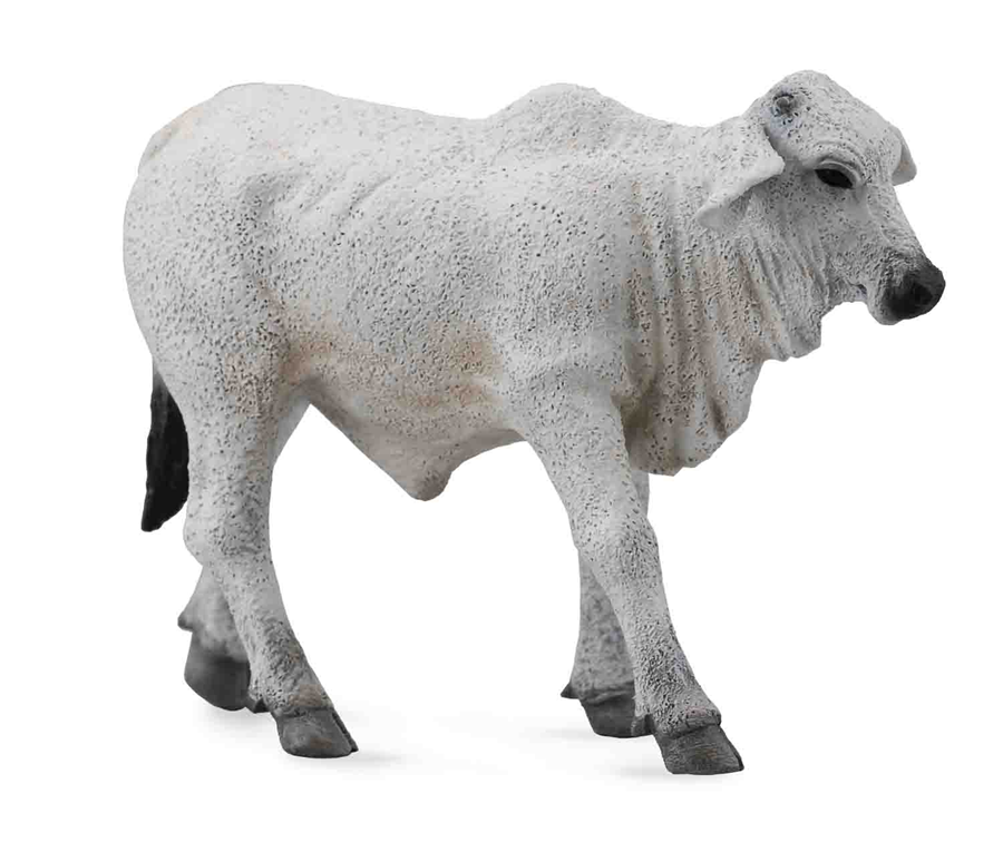 Collecta - 88581 Brahman Calf Grey