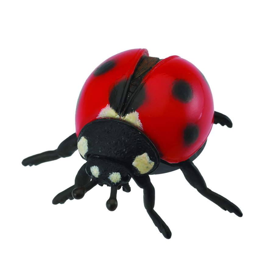 Collecta - 88474 Ladybird