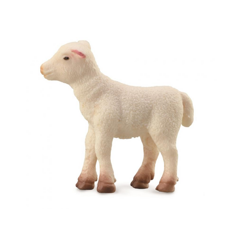 Collecta - 88009 Lamb Standing