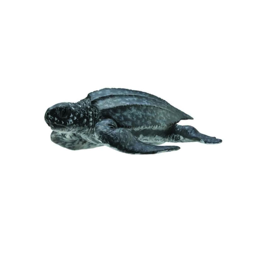 Collecta - 88680 Leatherback Sea Turtle