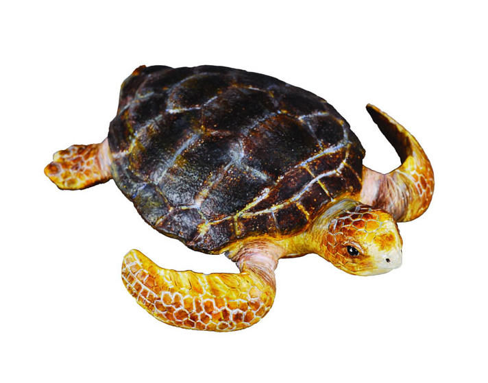 Collecta - 88094 Loggerhead Turtle