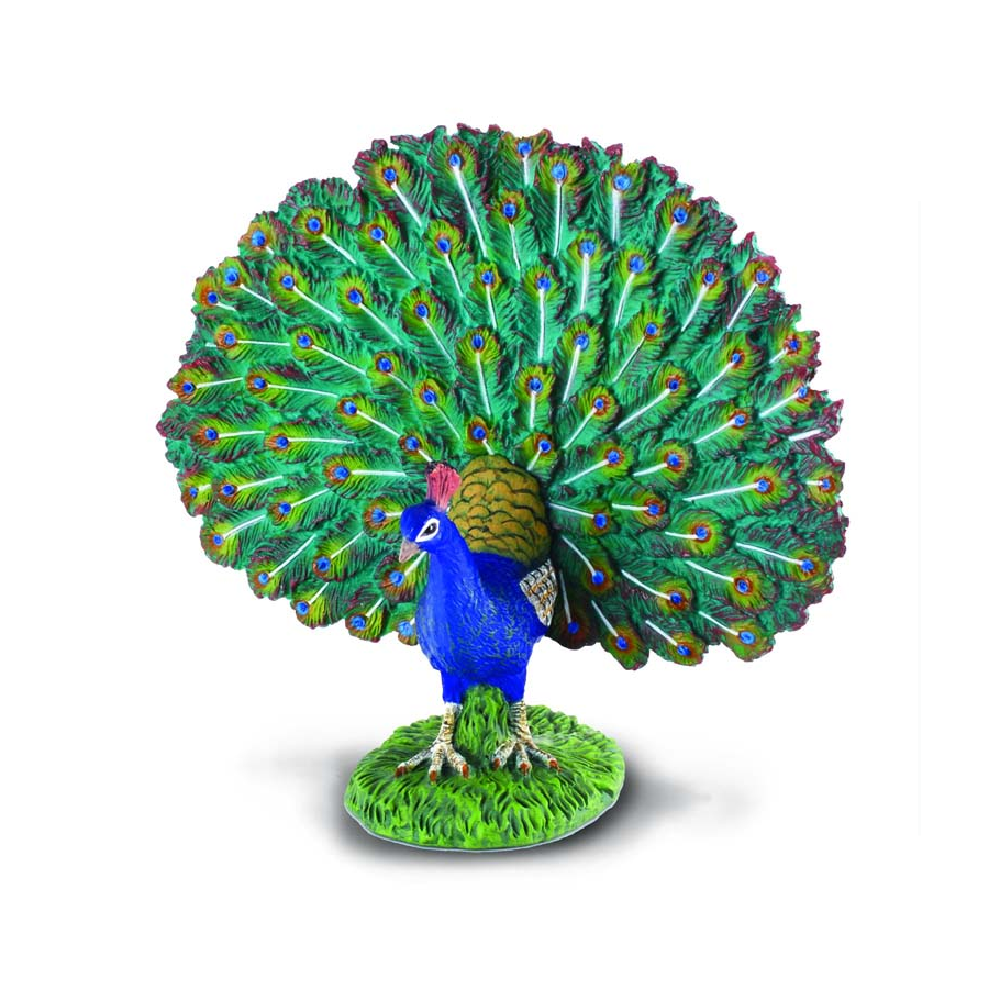 Collecta - 88209 Peacock