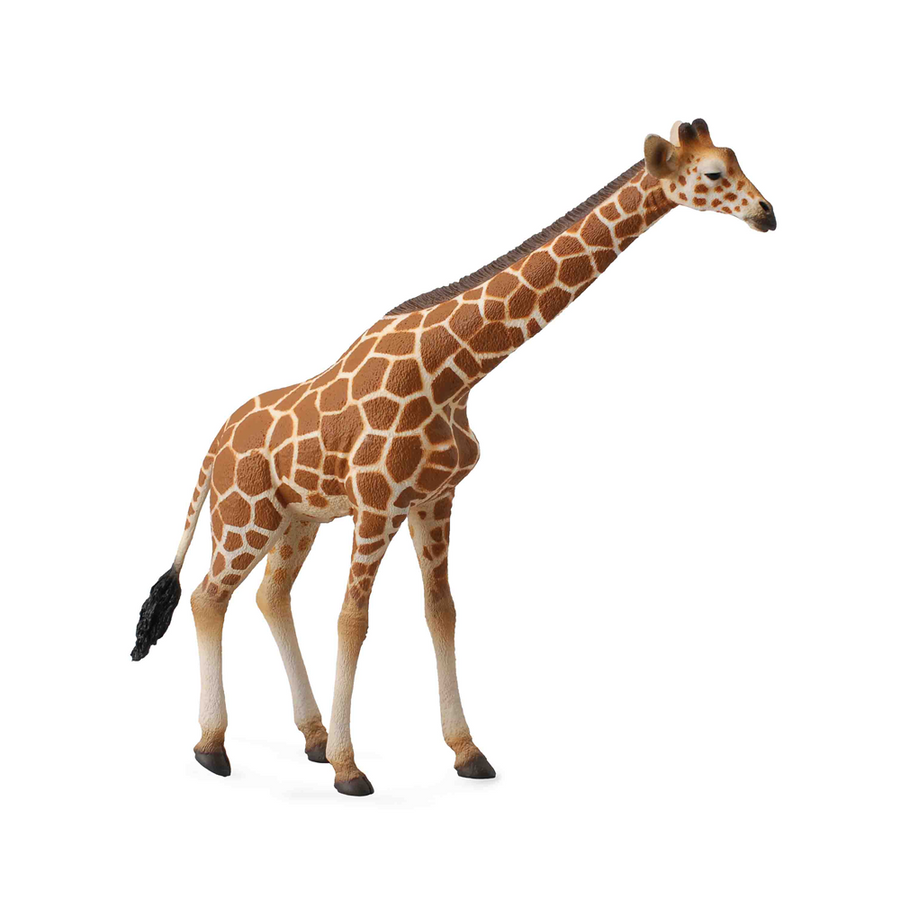 Collecta - 88534 Reticulated Giraffe
