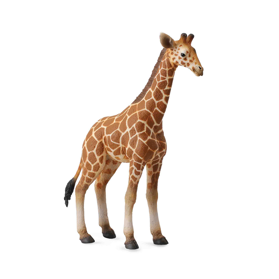 Collecta - 88535 Reticulated Giraffe Calf