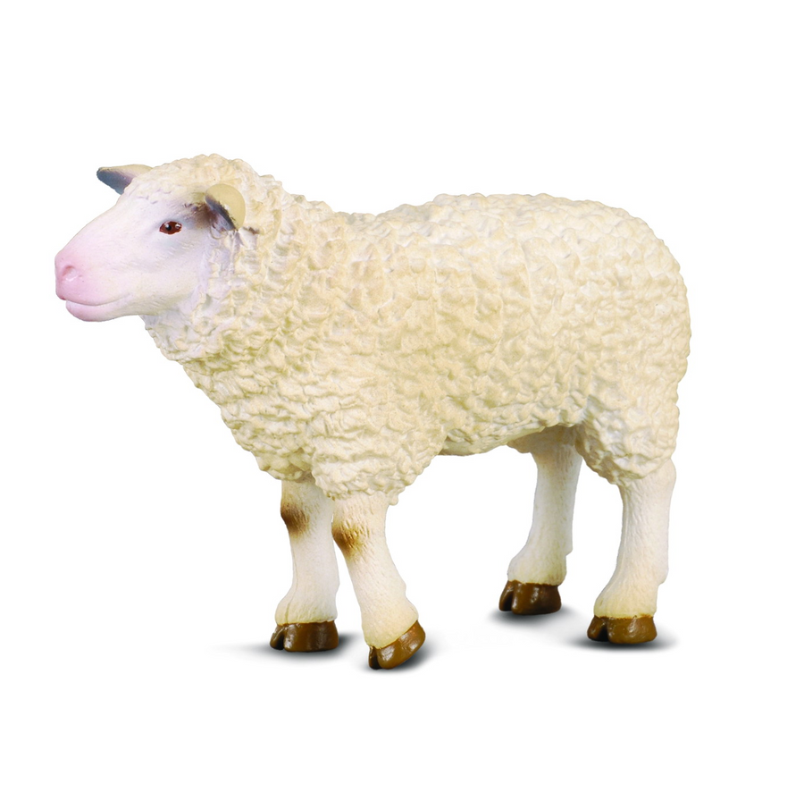 Collecta - 88008 Sheep