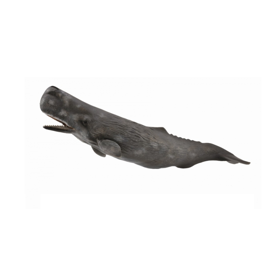 Collecta - 88835 Sperm Whale