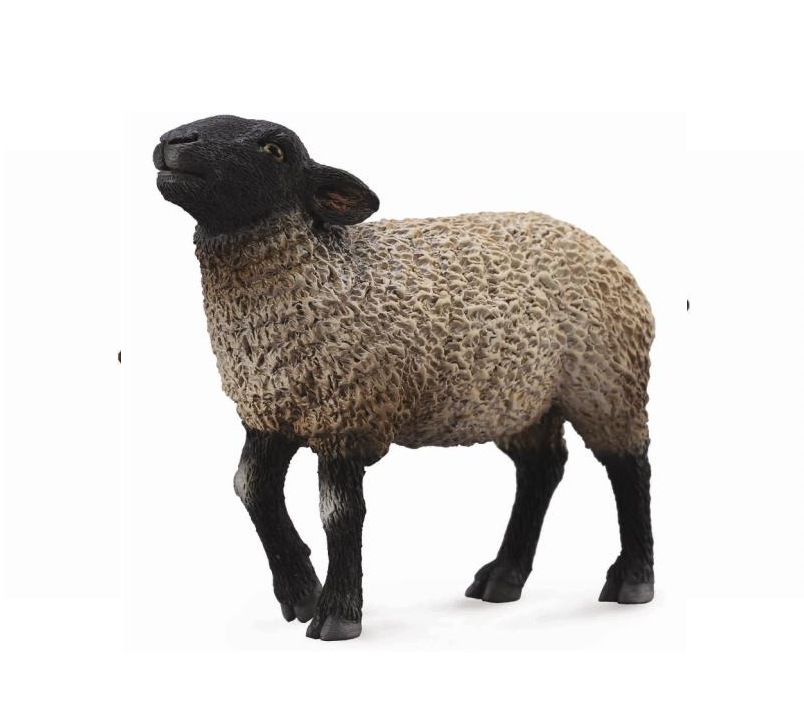 Collecta - 88636 Suffolk Sheep