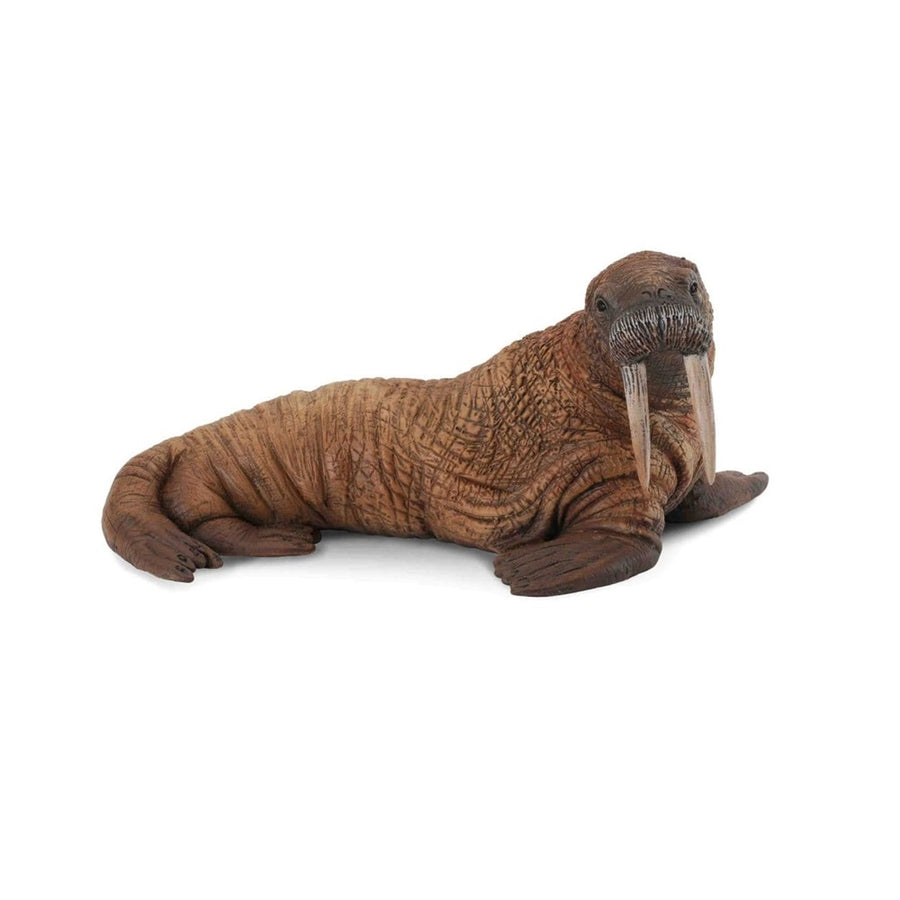 Collecta - 88569 Walrus