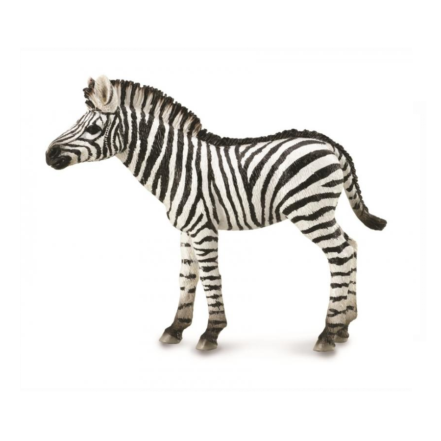 Collecta - 88850 Zebra Foal